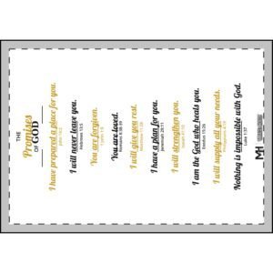 The Promise Blanket - 10 Promises of God