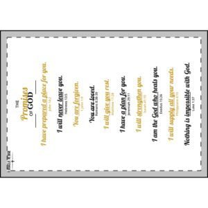 The Promise Blanket - 10 Promises of God